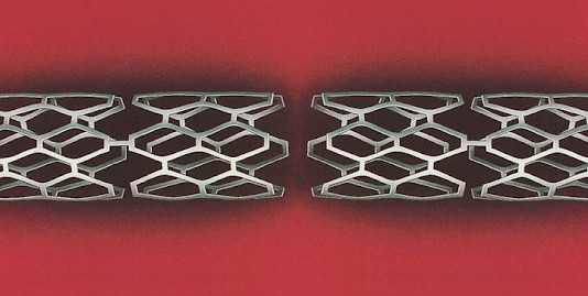 PALMA - SCHATZ STENT
